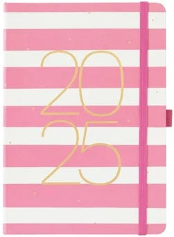 Goals Diary - Pink Stripe - Busy B