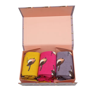 Miss Sparrow Sock Gift Box