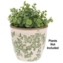 Load image into Gallery viewer, Clematis Planter - Large  - Joe Davis