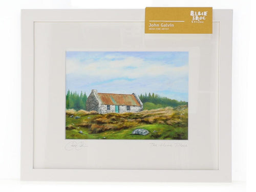 The Home Place - John Galvin