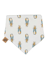 Load image into Gallery viewer, Peter Rabbit Bib - Blade &amp; Rose