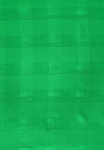 571904- Green Loop Scarf - Cecil