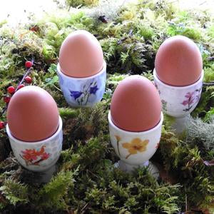 Annabel Langrish Wildflowers Egg Cup Set