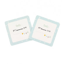 Load image into Gallery viewer, Baby Milestone Cards- Blue