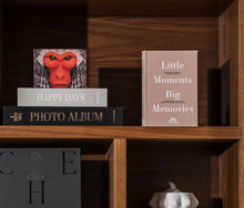 Load image into Gallery viewer, Photo Album- Little Moments Big Memories