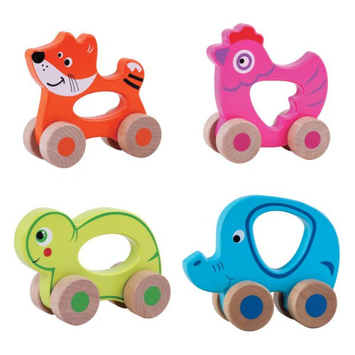 Jumini - Push Along Toy